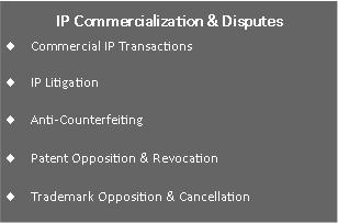 Text Box: IP Commercialization & DisputesCommercial IP Transactions IP LitigationAnti-Counterfeiting Patent Opposition & RevocationTrademark Opposition & Cancellation