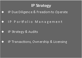 Text Box: IP StrategyIP Due Diligence & Freedom to OperateIP Portfolio ManagementIP Strategy & AuditsIP Transactions, Ownership & Licensing