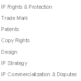 Text Box: IP Rights & ProtectionTrade MarkPatentsCopy RightsDesignIP StrategyIP Commercialization & Disputes